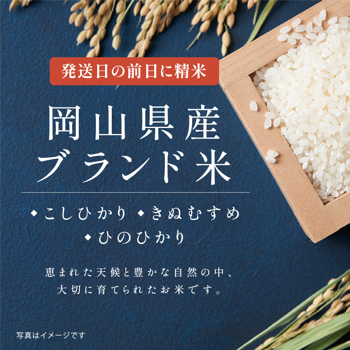 出産内祝いのごあいさつ米(3合)