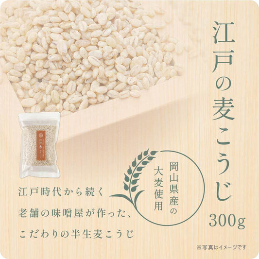 【送料無料・国産】江戸の麦こうじ 300g