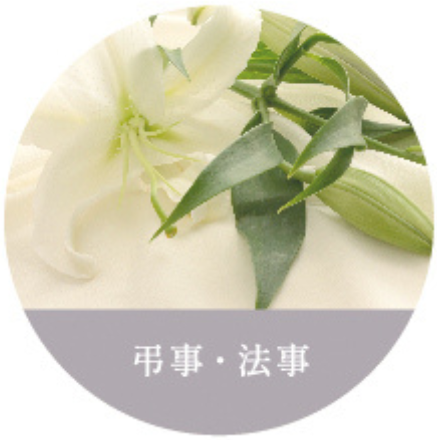 弔事・法事シリーズ