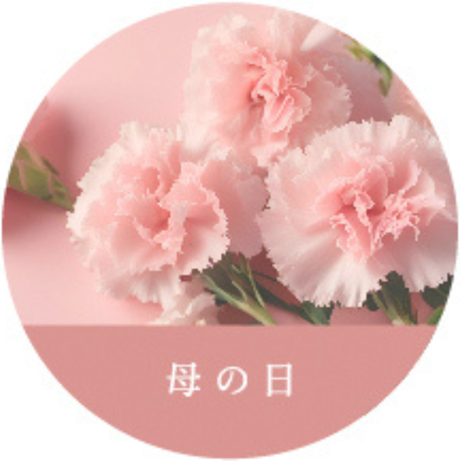 母の日シリーズ