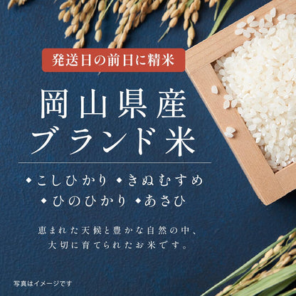 母の日の銘柄米食べ比べ２種・３種・４種セット