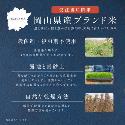 日頃のおきもち米(1合/ 2合)