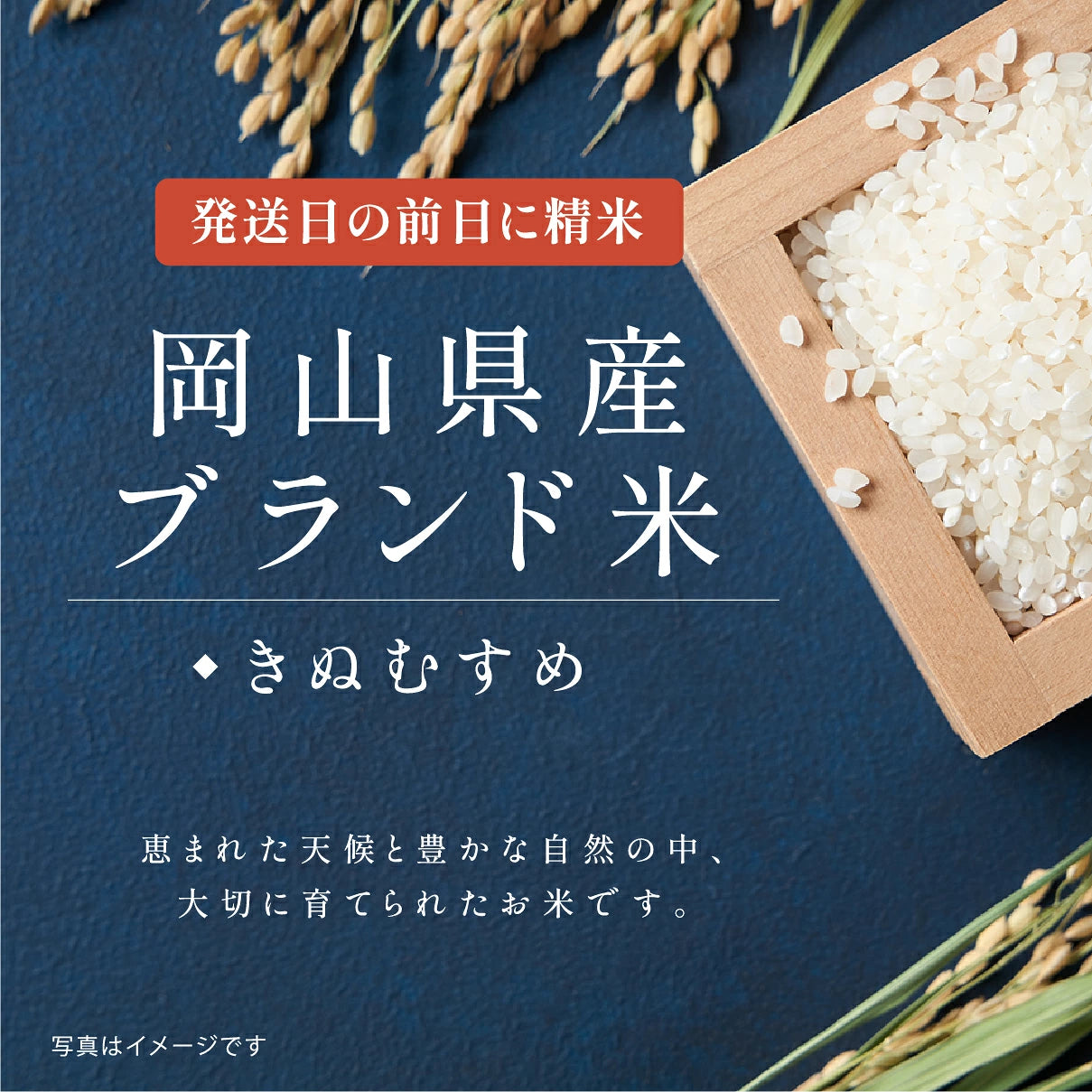 【 新商品 注文後精米 】結婚内祝いのおきもち米（1合・2合・3合）