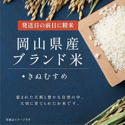 【 新商品 注文後精米 】結婚内祝いのおきもち米（1合・2合・3合）