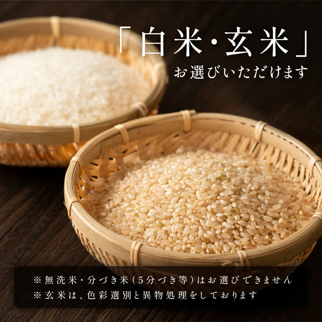 きぬむすめ（１～２kg）