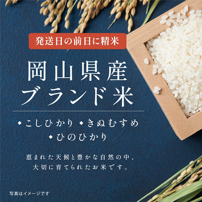 【 新商品 注文後精米 】入学内祝いのおきもち米（2合・3合）