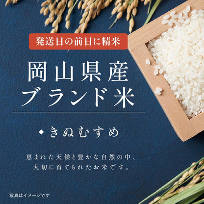 【 新商品 注文後精米 】入学内祝いのごあいさつ米（2合）